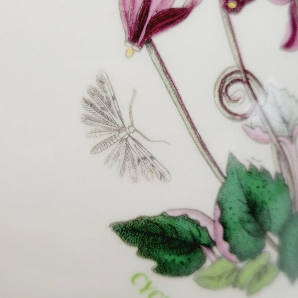 Portmeirion Botanic Garden 5" Chili Bowl Cyclamen Pink Floral, Butterfly & Moths - Picture 5 of 11